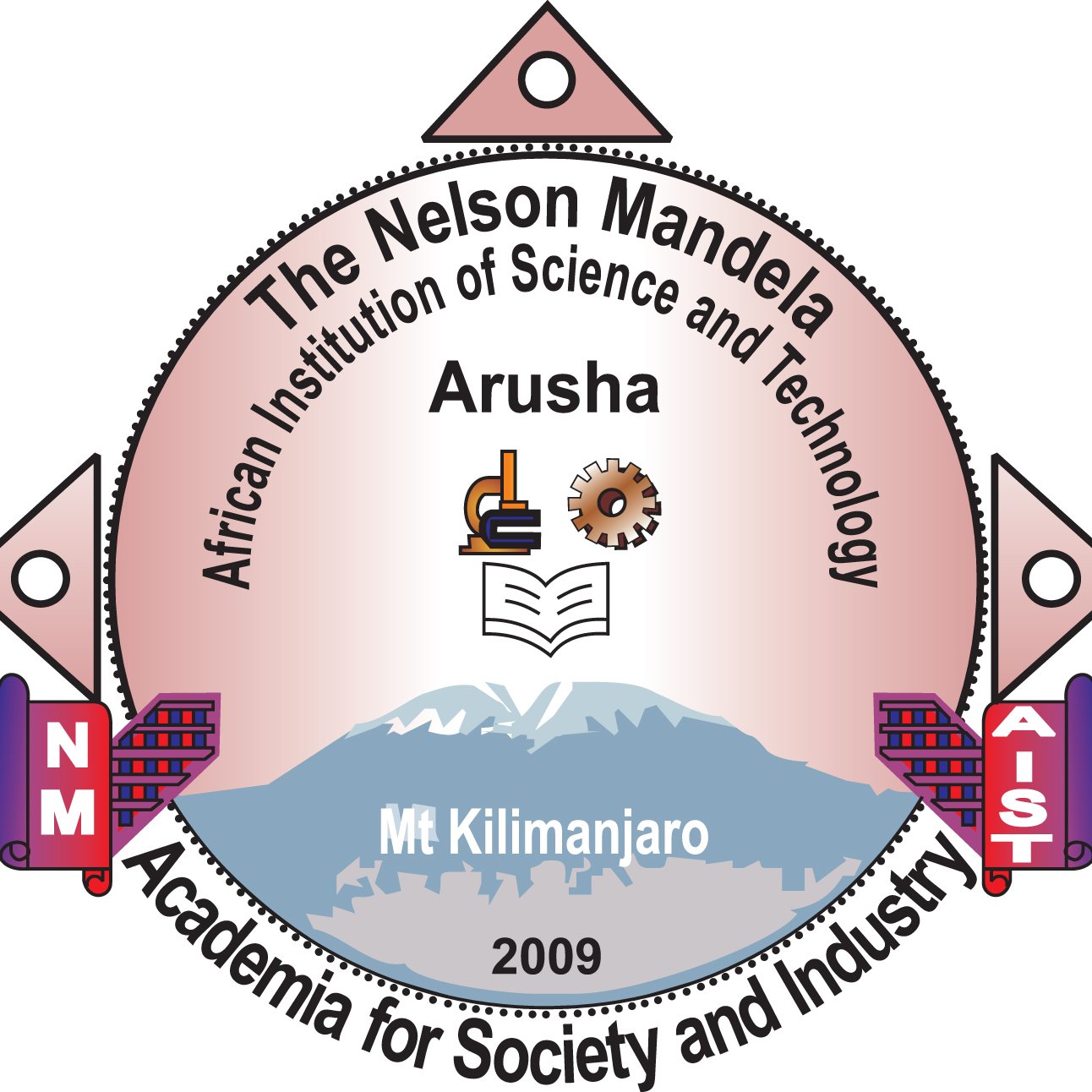 cPage NM-AIST  Logo